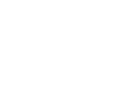 Goldfish Ceramic Pet Bowl