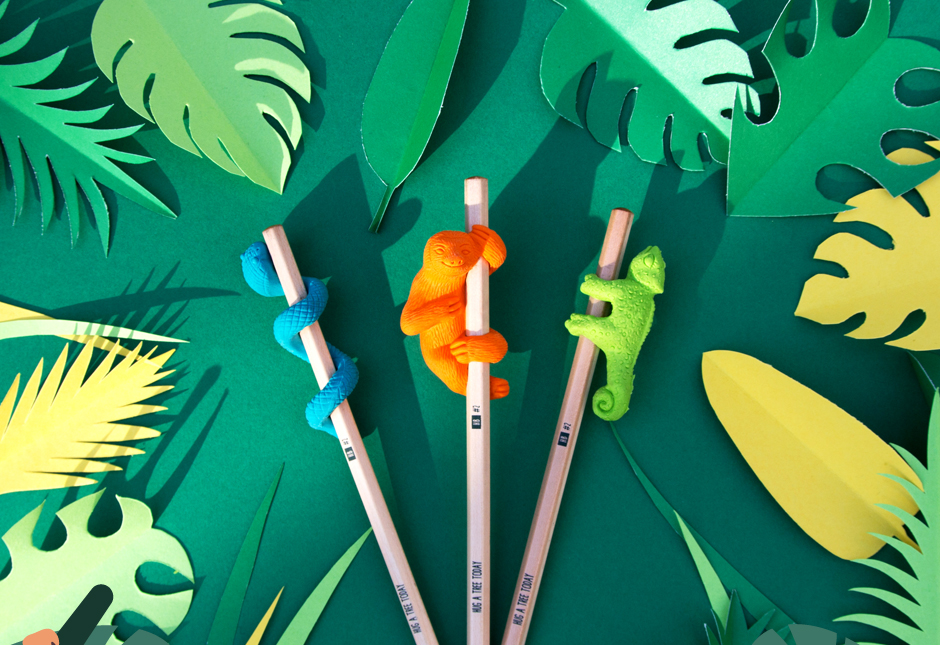 Jungle Eraser And Pencil Sets On Grass