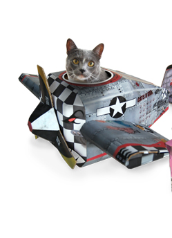 Plane Cat Play house