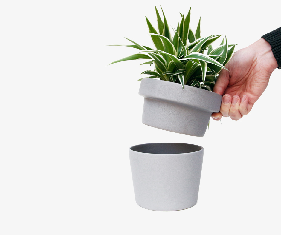 Plant pot hideaway - hand removing top