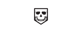include product desciption in alt tag