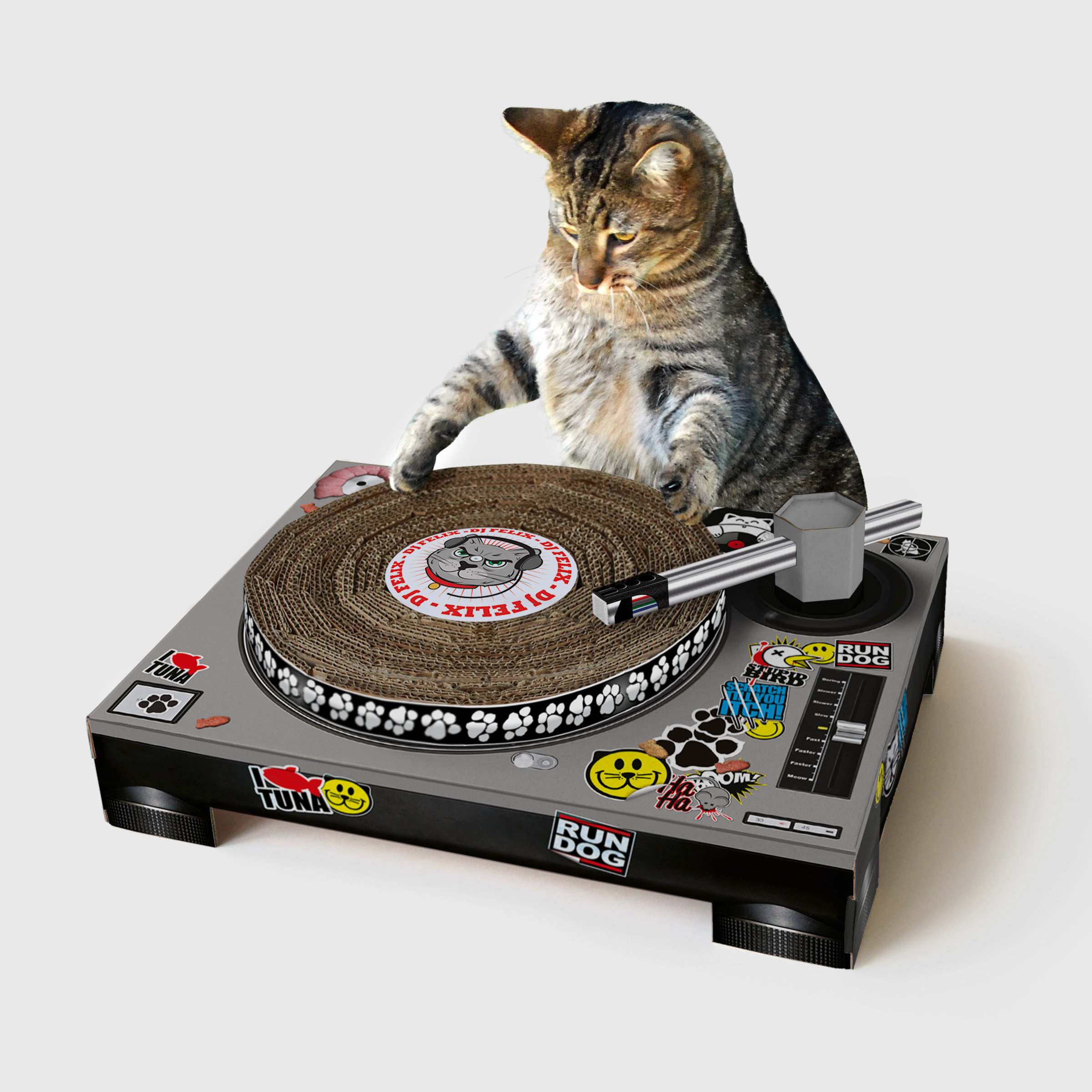 A Cat DJ