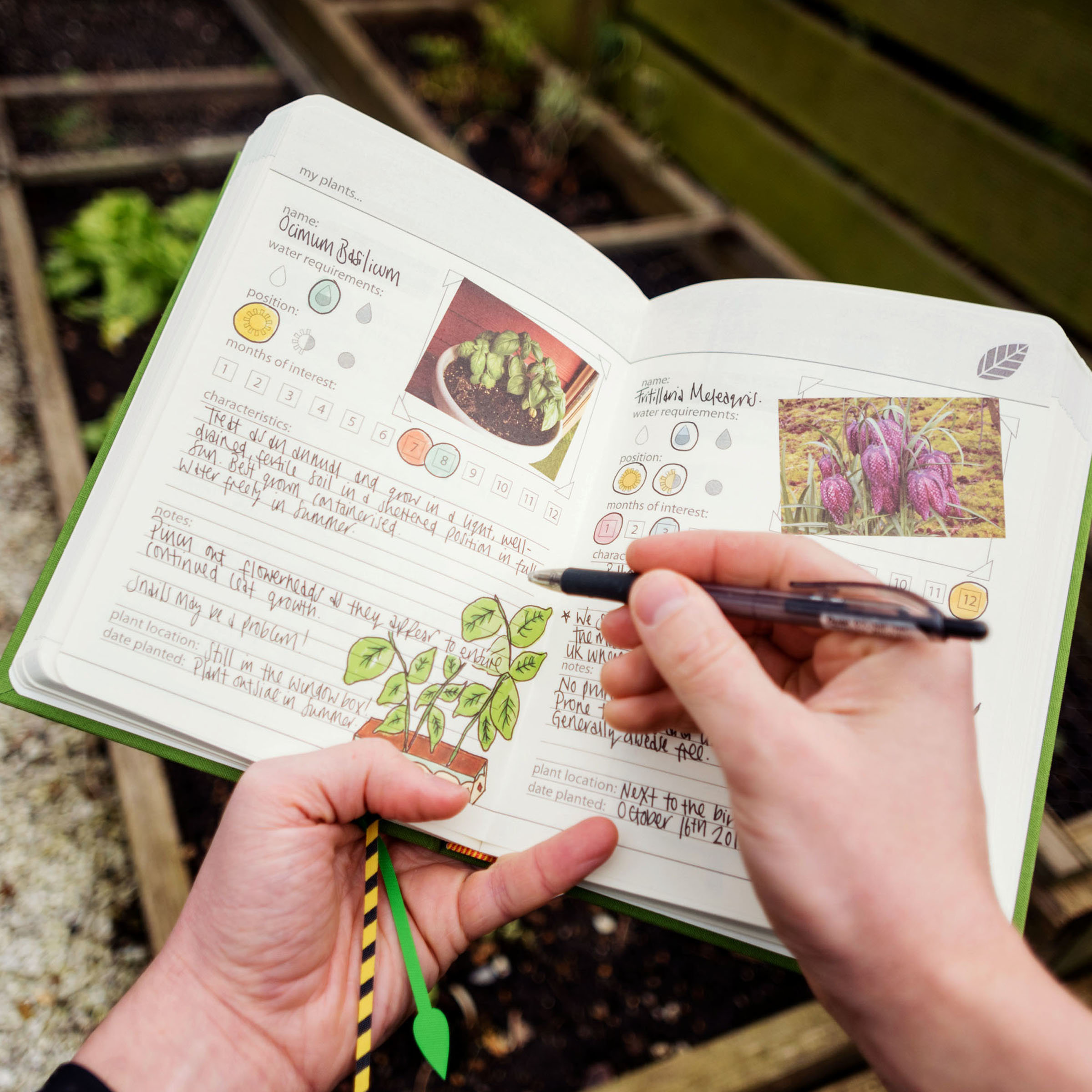 Big Green Garden Notebook