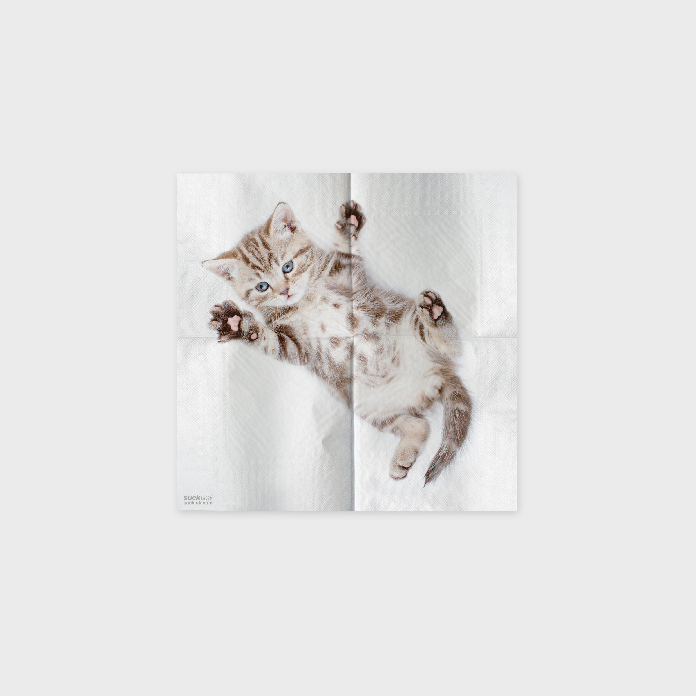 Cute Napkins With Cat Pictures