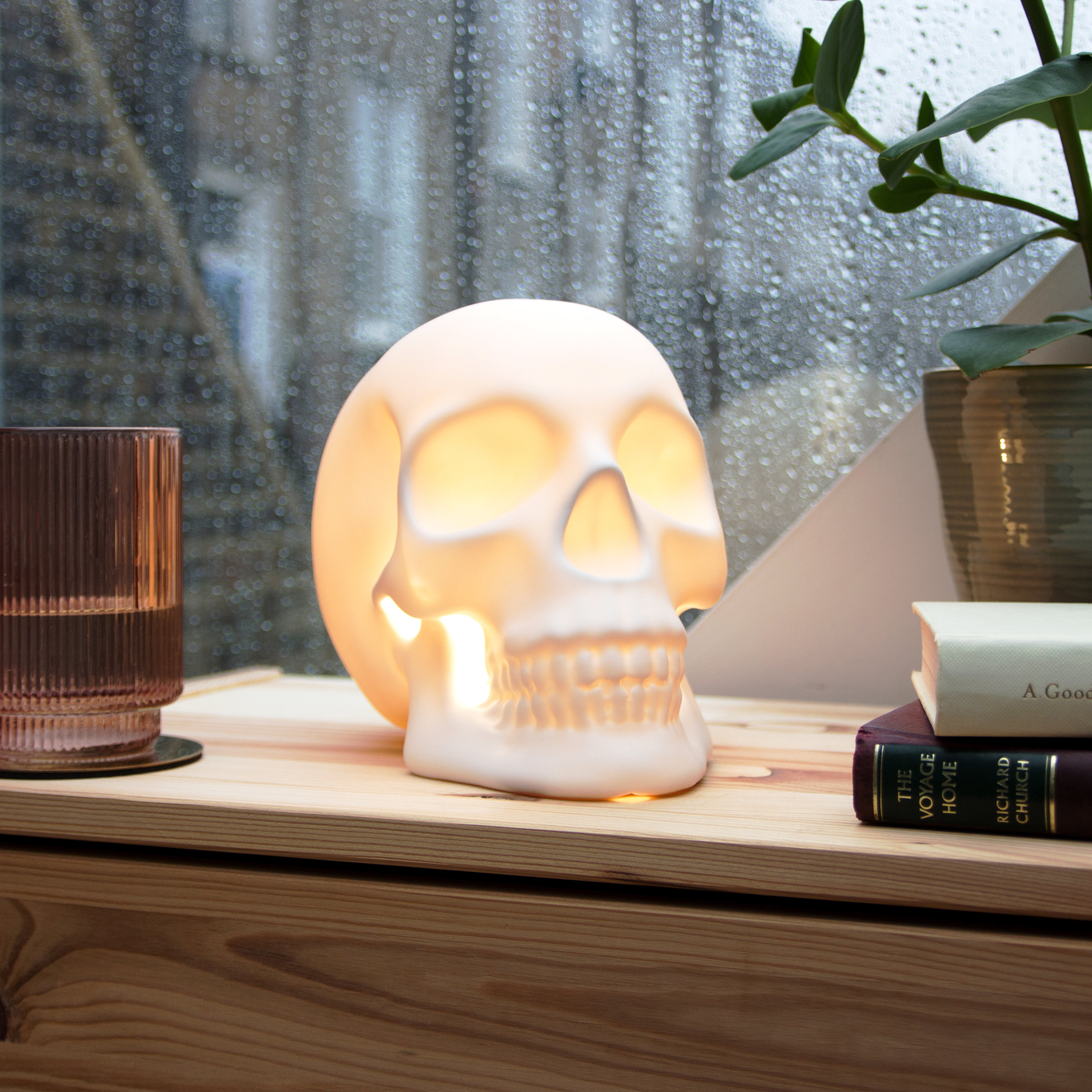 Skull lamp from front on bedside table