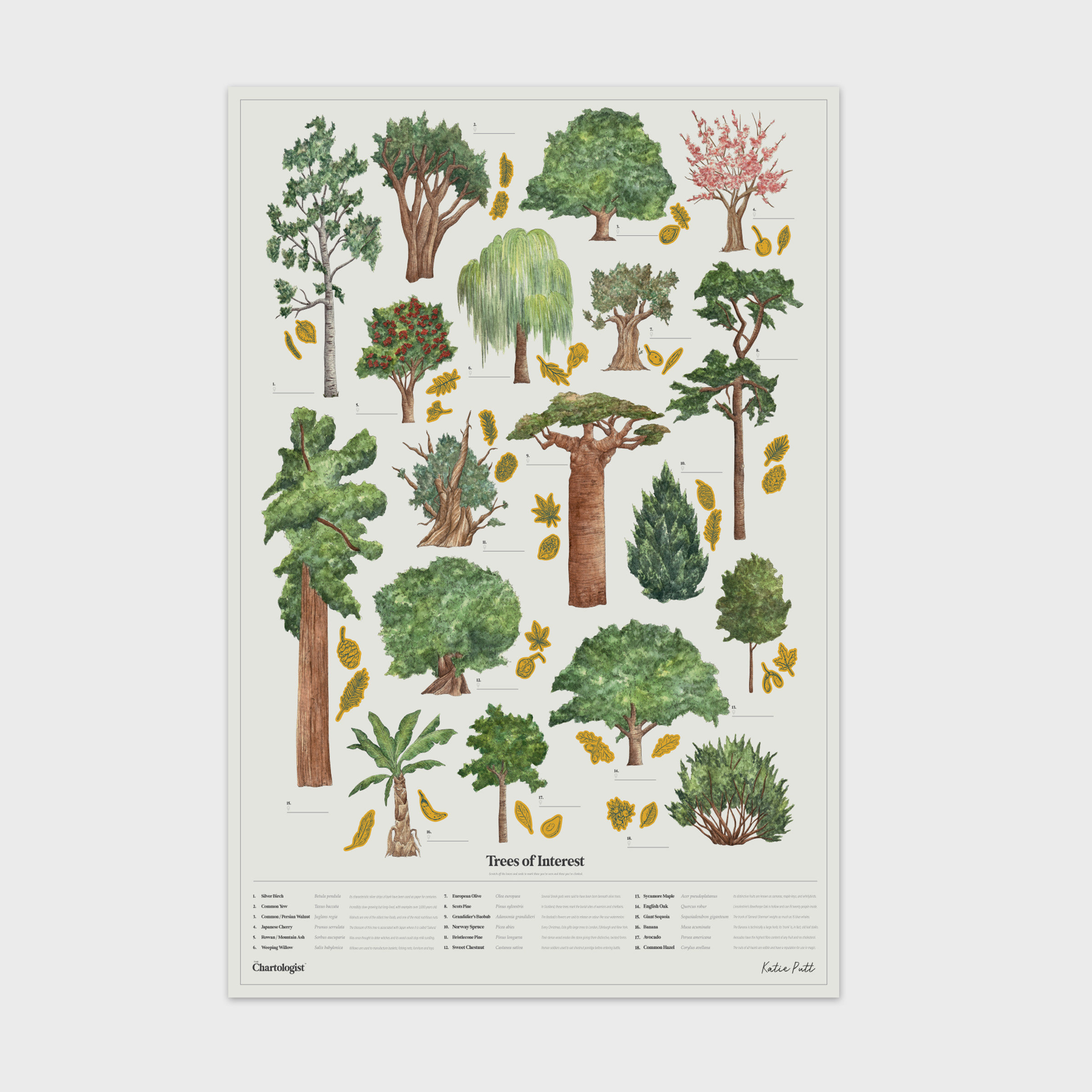 Chartologist Trees Scratch Off Poster