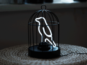 white neon tube light in the unique shape of a bird sat in a black metal birdcage