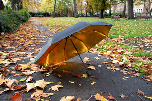 Umbrella, gold inside, black outside, with leaves