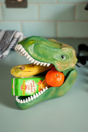 dinosaur lunchbox uk with fruits