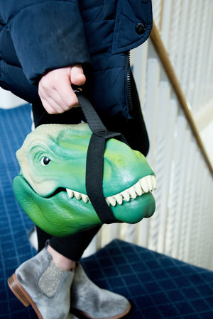 dinosaur sandwich container carried in hand