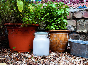 frosted mason jars in garden at daytime