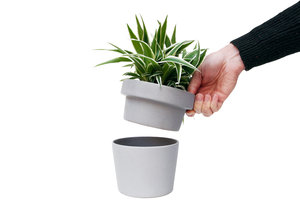 hand lifting top of plant pot hideaway