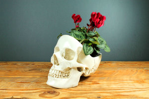 skull tidy white with flowers inside