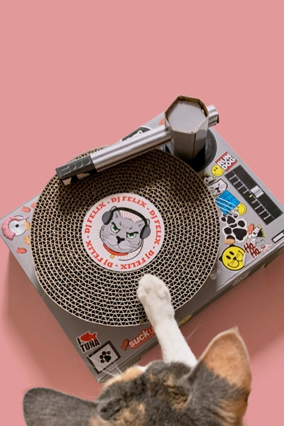 Cat Scratch Turntable