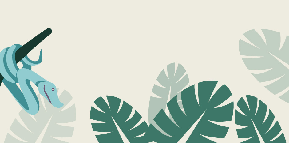 Jungle eraser snake and leaves illustration 