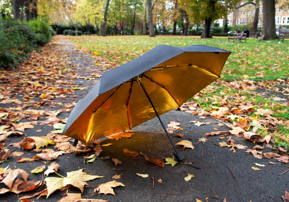 Black and gold umbrella in autumn leaves