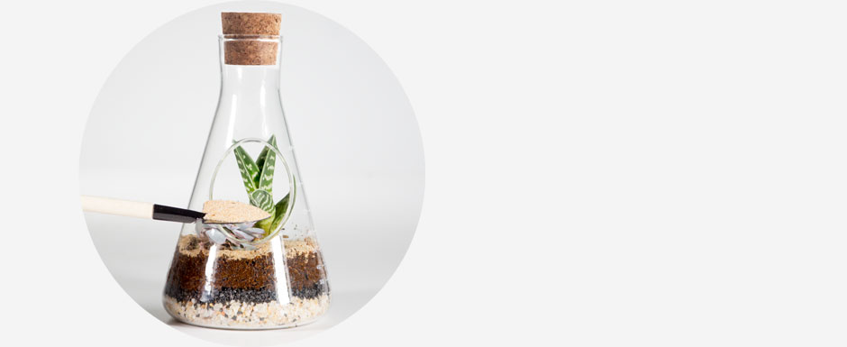 chemistry terrarium kit