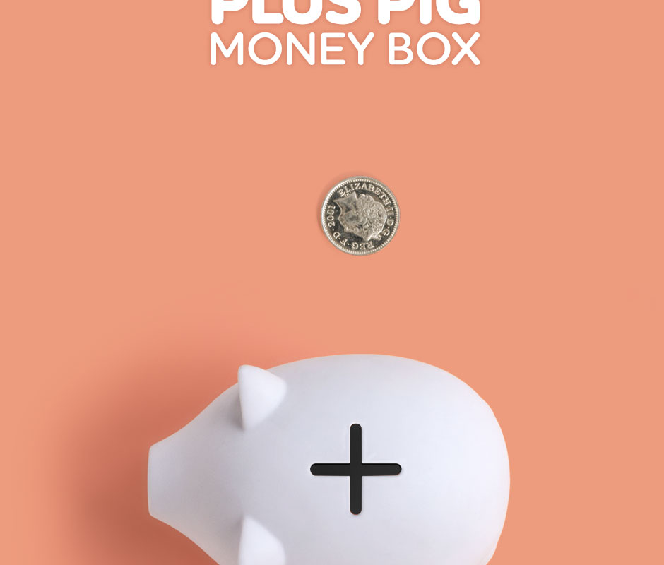 Plus Pig Money Box