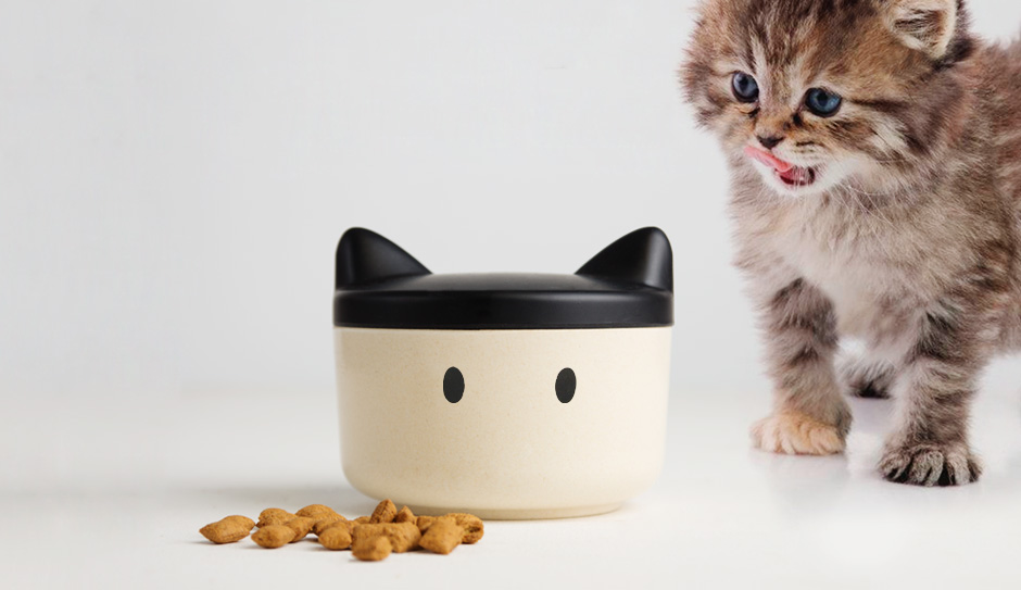 PET TREAT BOWL