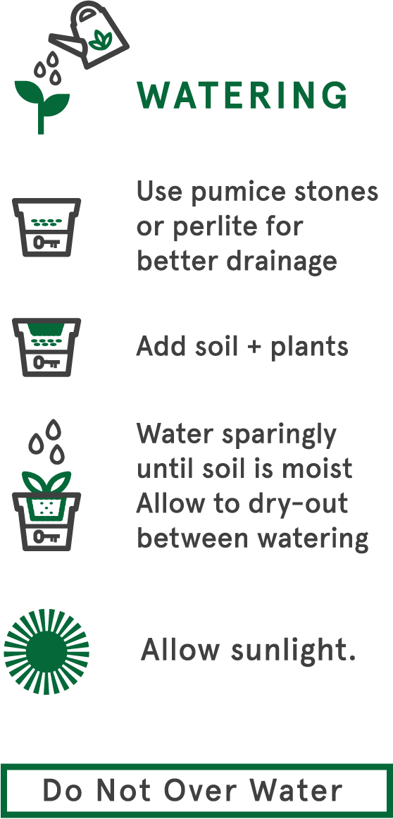 Plant watering instructions
