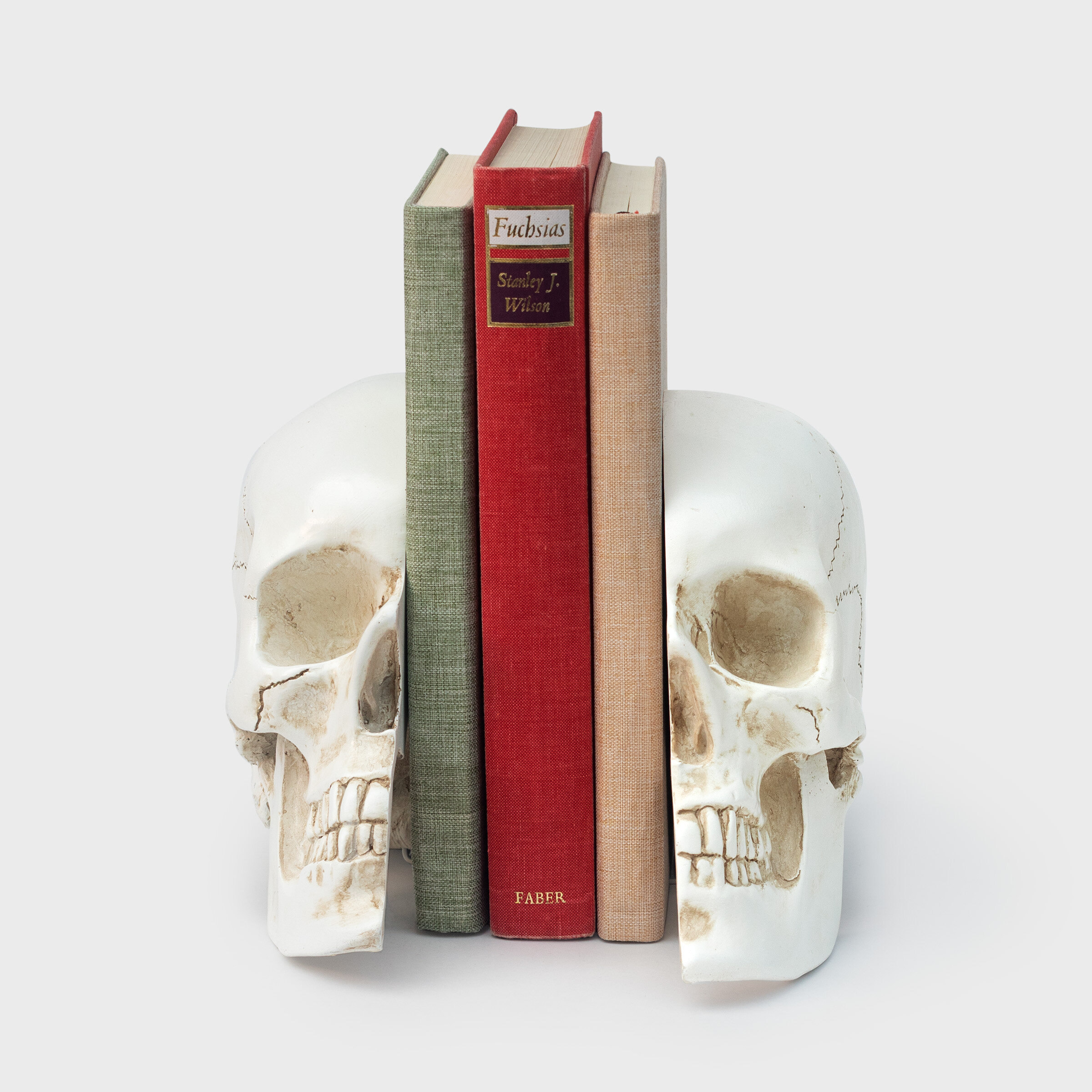 skull shaped bookends holding three books