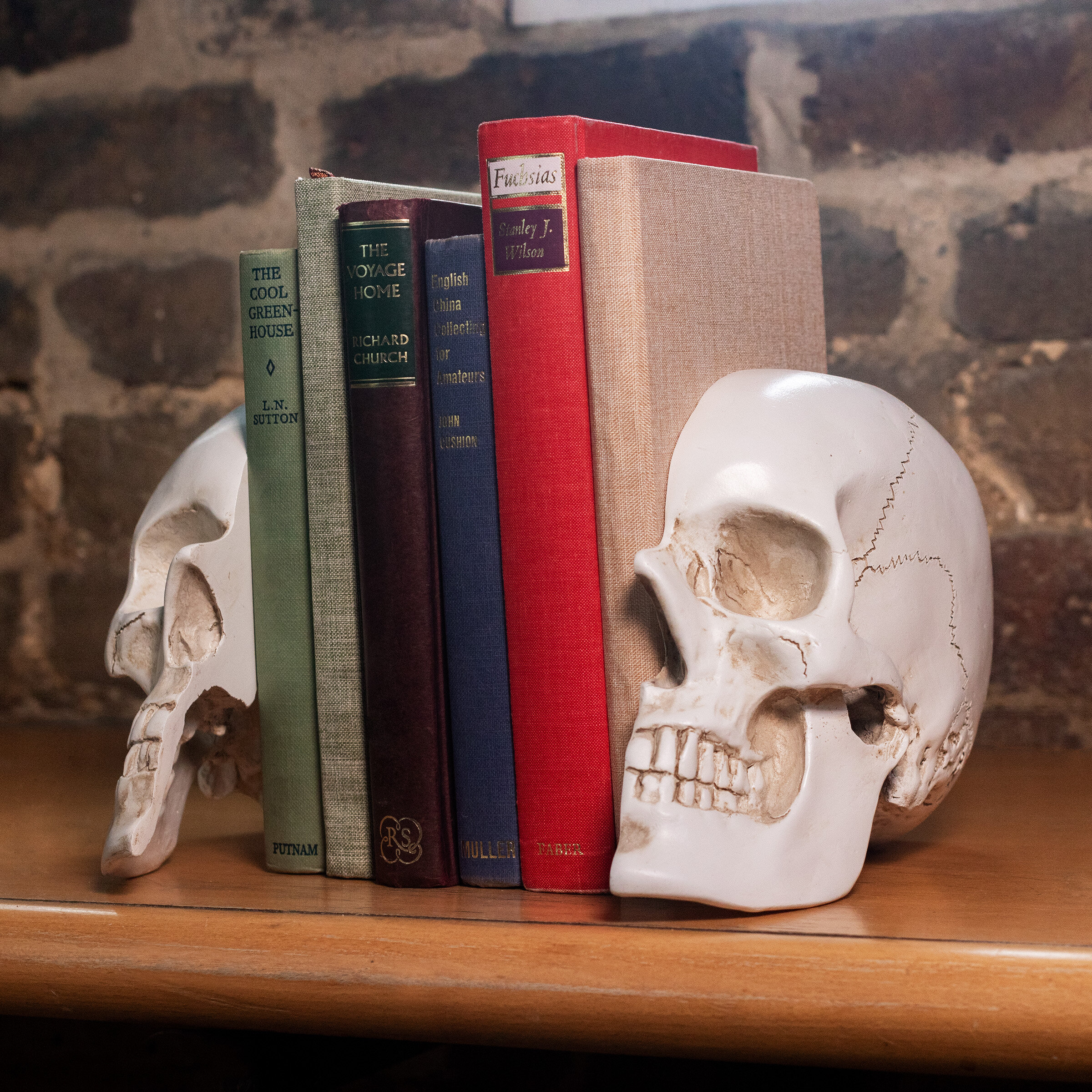 on a shelf against a brickwall the skull bookends containing books