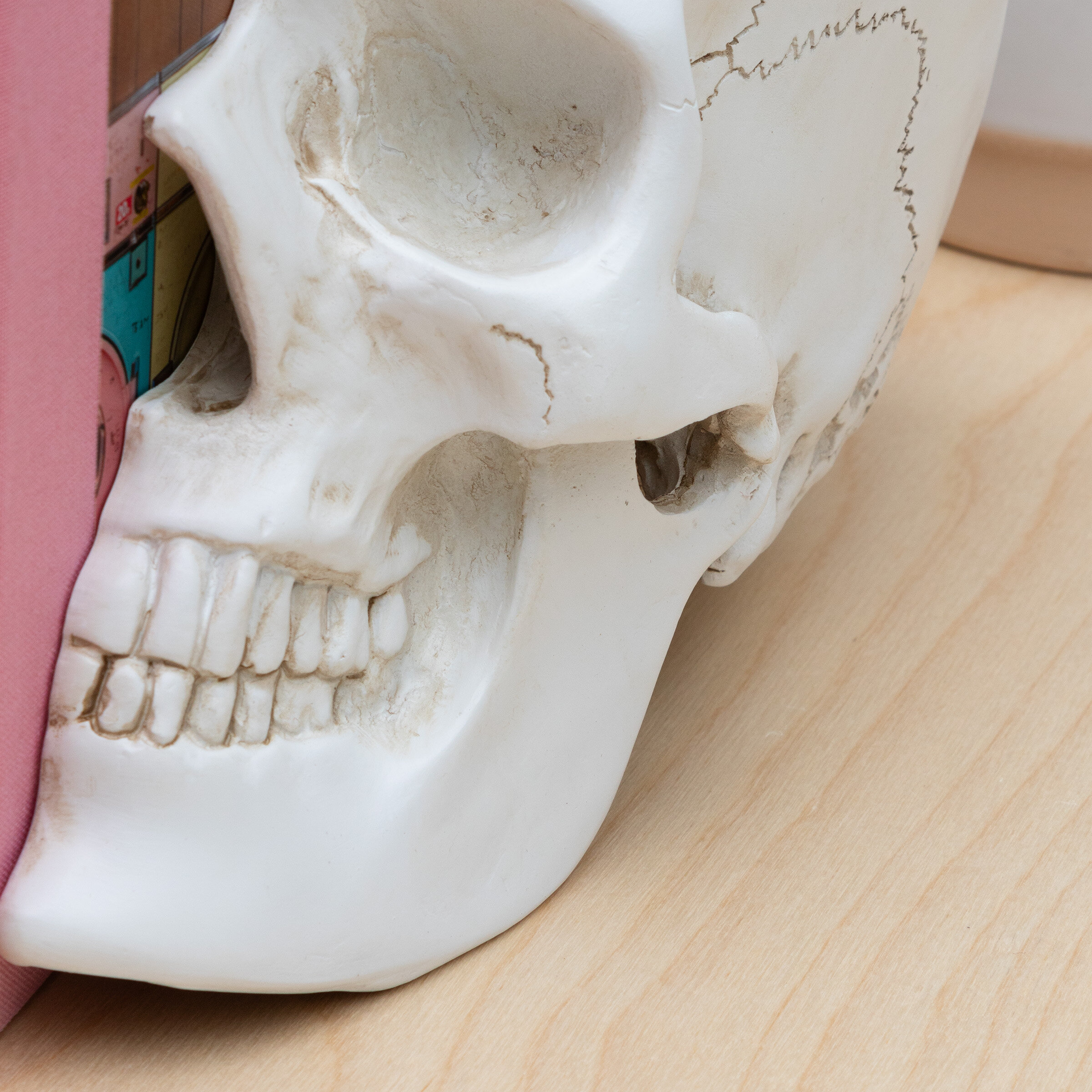 book ends of half a skull teeth