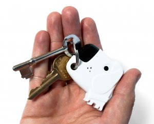 Fetch Keyfinder in hand