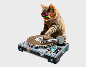 Cat DJ