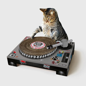 Cardboard DJ Deck for cats
