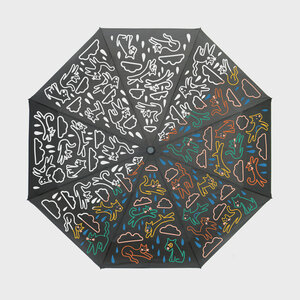 Raining Cats and Dogs Wet AND Dry