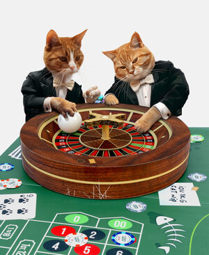 Casino for Cats