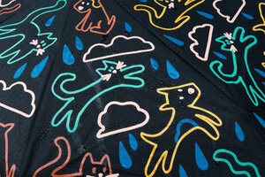 Raining, Cats, Dogs, Wet, Umbrella, Colour Change