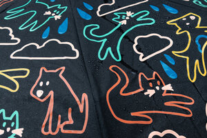 Raining, Cats, Dogs, Wet, Umbrella, Colour Change