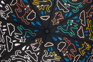 Raining, Cats, Dogs, Wet, Umbrella, Colour Change