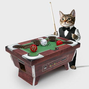 Card pool Table Cat Toy