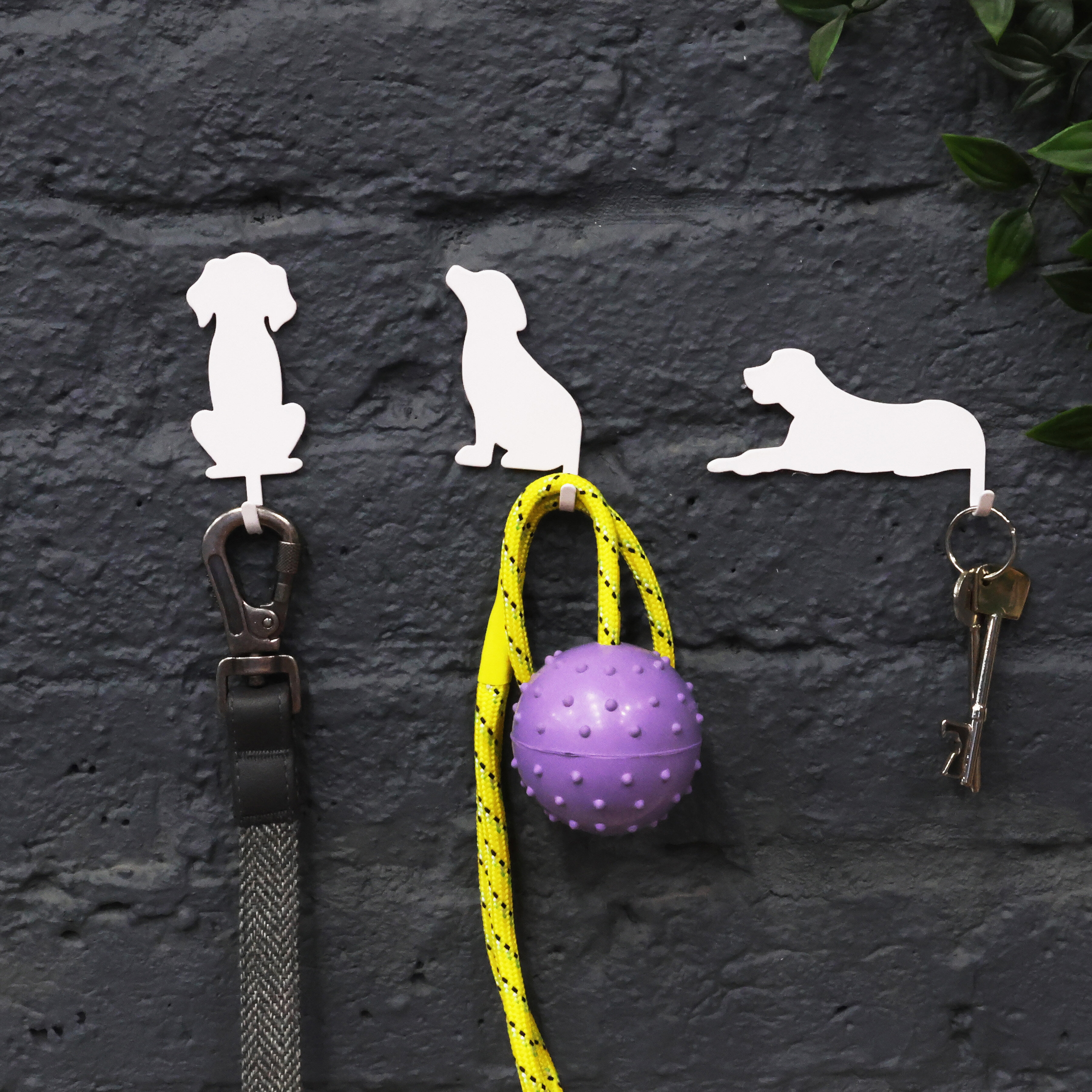 cat dog hooks