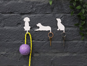 cat dog hooks keys