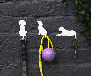 cat dog hooks keys