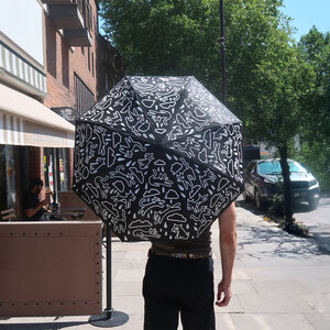 Raining, Cats, Dogs, Wet, Umbrella, Colour Change