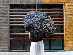 Raining, Cats, Dogs, Wet, Umbrella, Colour Change