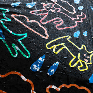 Raining, Cats, Dogs, Wet, Umbrella, Colour Change