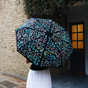 Raining, Cats, Dogs, Wet, Umbrella, Colour Change