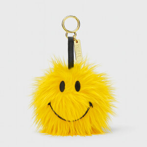 Smiley FanTastics