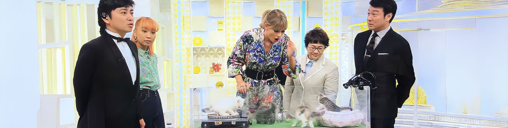 A group of TV presenters & the world famous singer Taylor Swift observing cats playing with the Suck UK Cat Scratch Turntable during a broadcast.