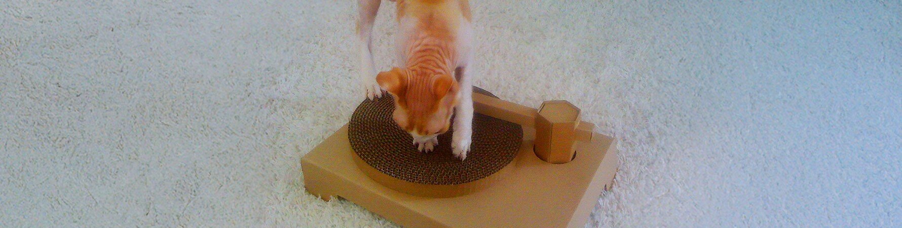 Jules Biddulph’s cat playing with the first cardboard version of the Suck UK Cat Scratch Turntable, the experiment that started it all.