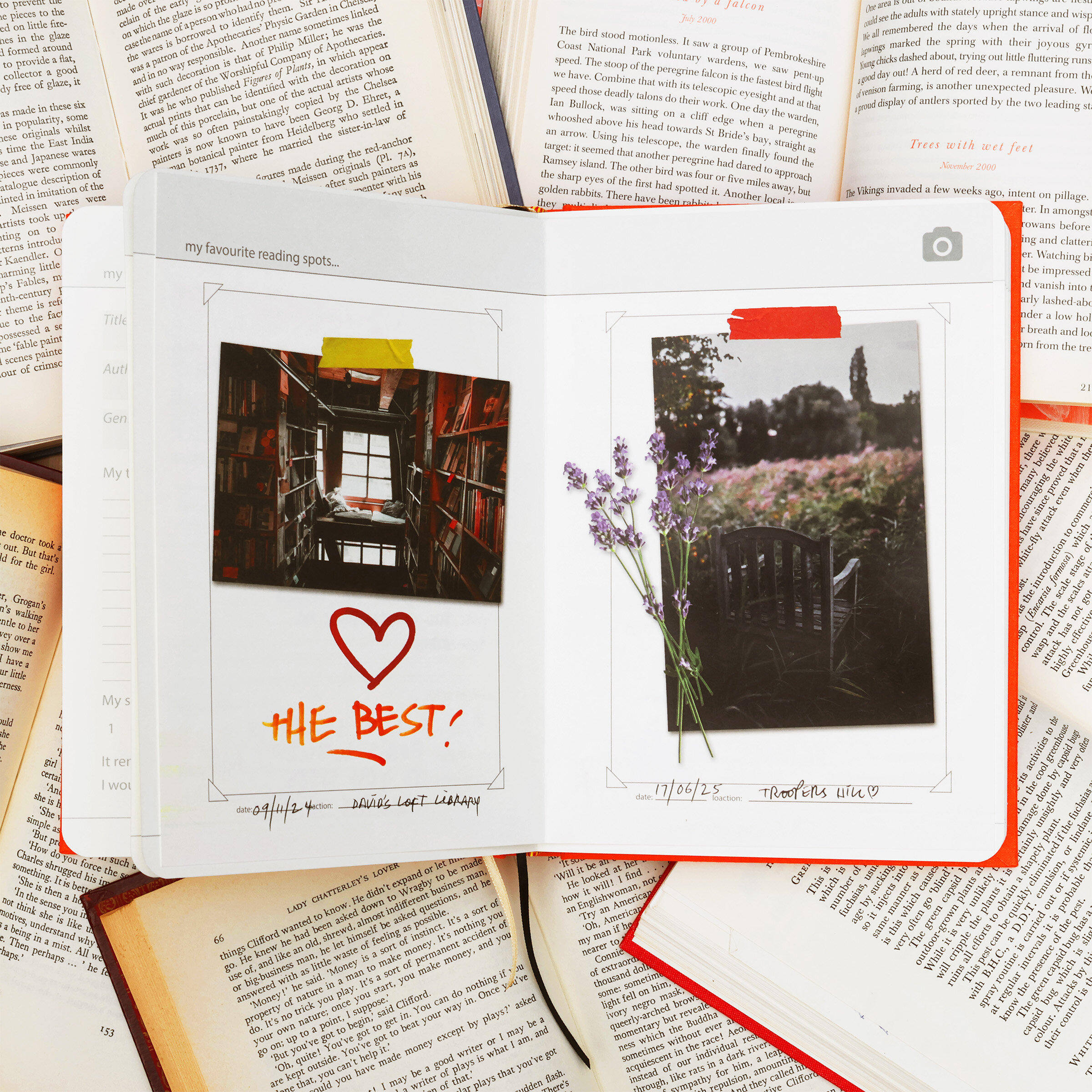 book reviews, book, orange, coffee table, books, bookworm, notebook