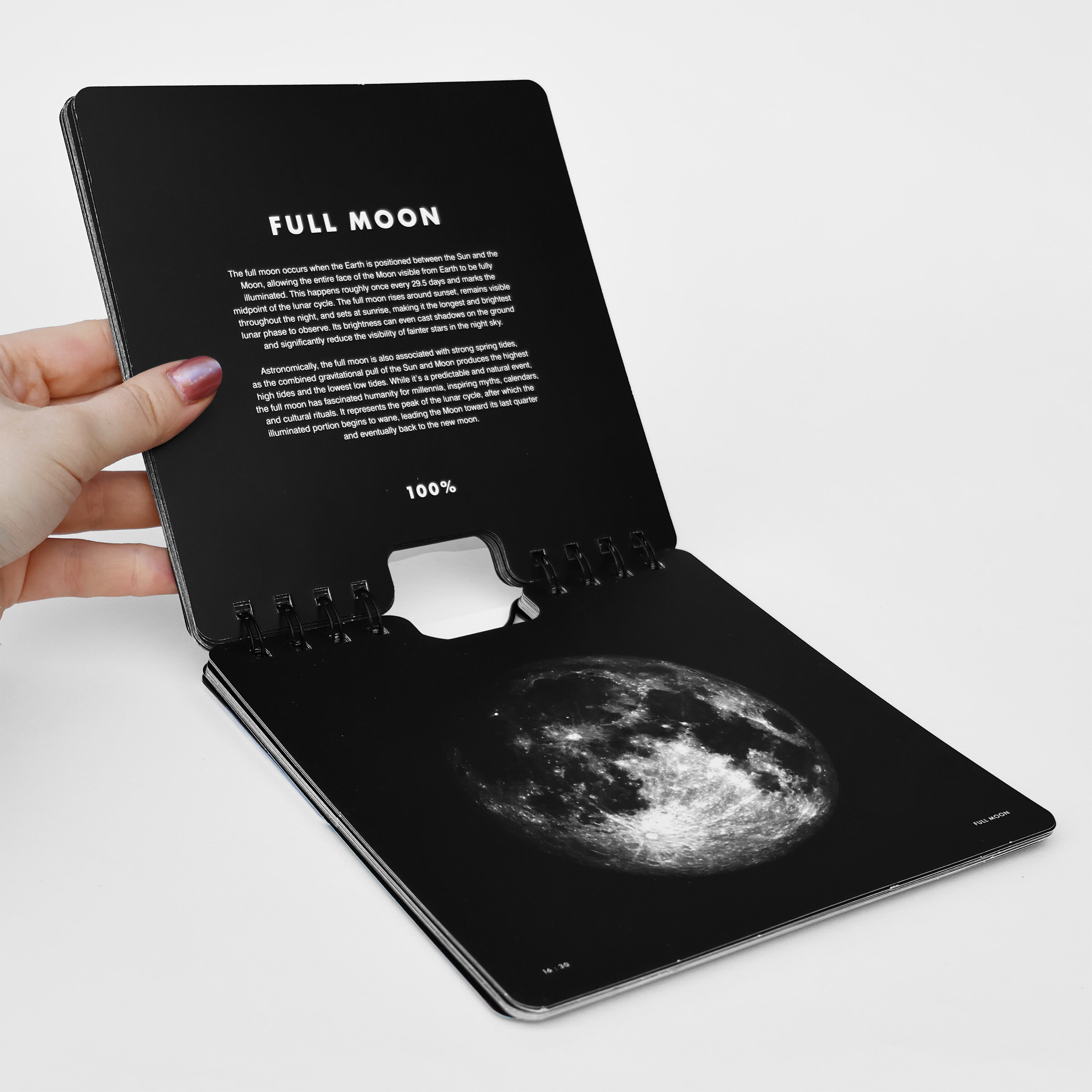 lunar, calendar, moon, moon phase, stationery, desk, supplies, decor