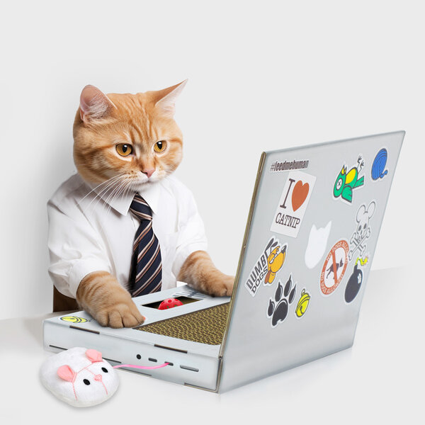Cat Scratch Laptop | Cardboard toy for geeky cats.
