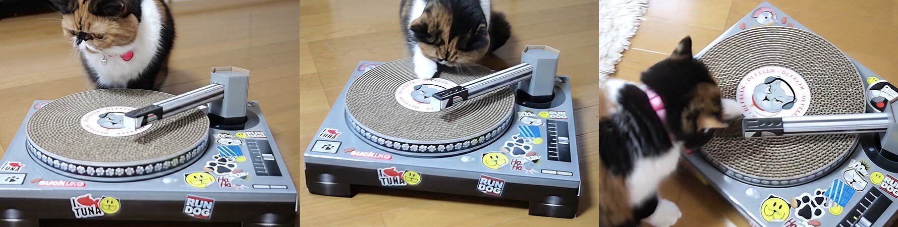 Cat playing with the SUCK UK Cat Scratch Turntable gift featured by French gadget writer François Charron